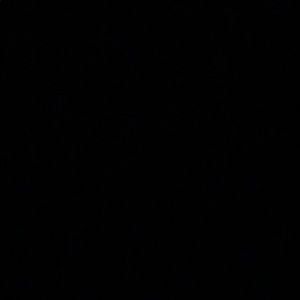 Meet your Posher, Isael